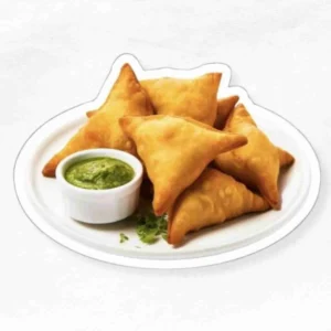 Chicken Samosa